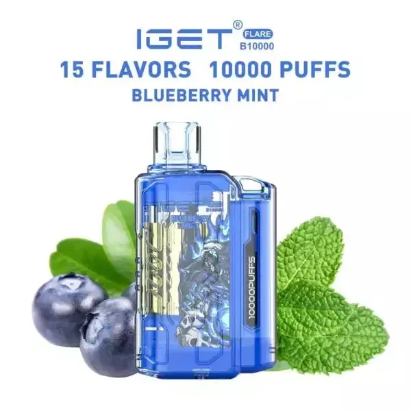 Iget Flare B10000 – Blueberry Mint view 1